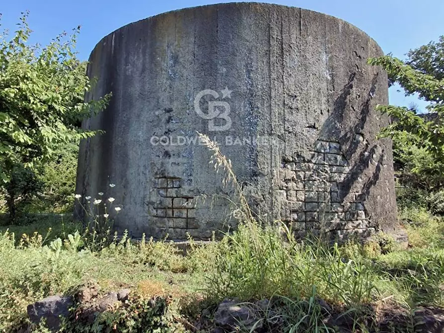 Immagine 9 di Terreno agricolo in vendita  in Via Ragonesi a Piedimonte Etneo