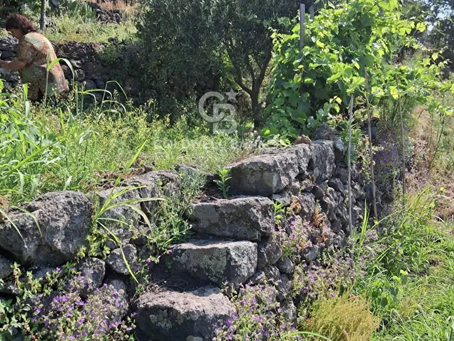 Immagine 10 di Terreno agricolo in vendita  in Via Ragonesi a Piedimonte Etneo