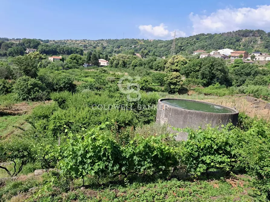 Immagine 11 di Terreno agricolo in vendita  in Via Ragonesi a Piedimonte Etneo