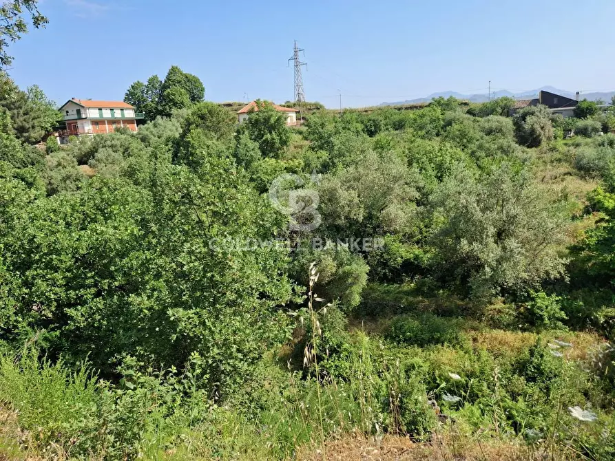 Immagine 12 di Terreno agricolo in vendita  in Via Ragonesi a Piedimonte Etneo