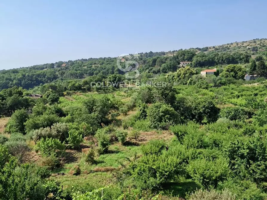 Immagine 13 di Terreno agricolo in vendita  in Via Ragonesi a Piedimonte Etneo