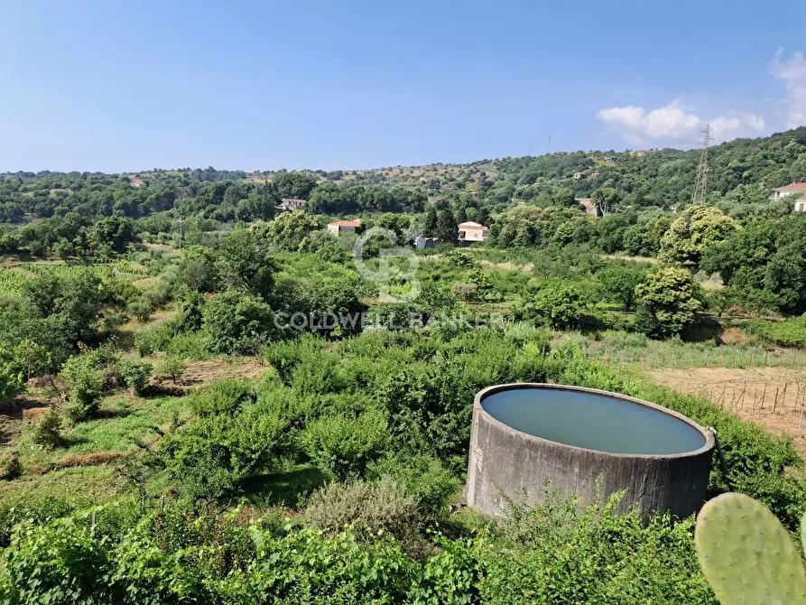 Immagine 14 di Terreno agricolo in vendita  in Via Ragonesi a Piedimonte Etneo