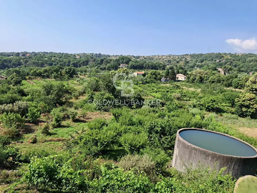 Immagine 15 di Terreno agricolo in vendita  in Via Ragonesi a Piedimonte Etneo