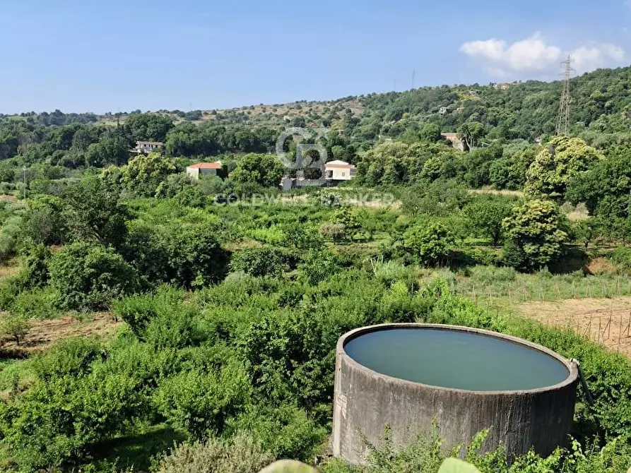 Immagine 16 di Terreno agricolo in vendita  in Via Ragonesi a Piedimonte Etneo