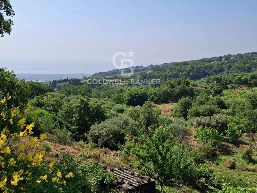 Immagine 17 di Terreno agricolo in vendita  in Via Ragonesi a Piedimonte Etneo