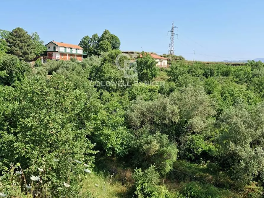 Immagine 18 di Terreno agricolo in vendita  in Via Ragonesi a Piedimonte Etneo