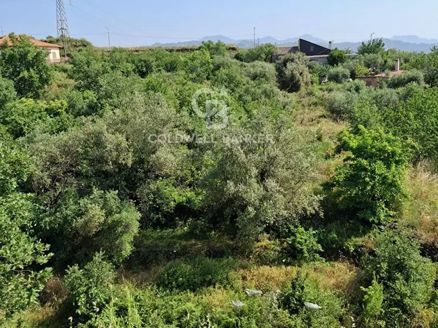 Immagine 20 di Terreno agricolo in vendita  in Via Ragonesi a Piedimonte Etneo