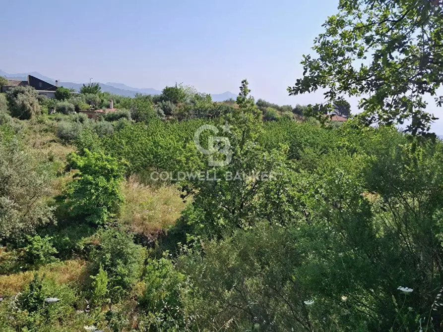 Immagine 21 di Terreno agricolo in vendita  in Via Ragonesi a Piedimonte Etneo