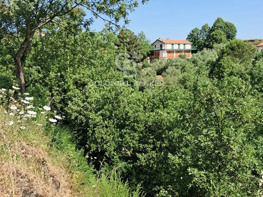 Immagine 22 di Terreno agricolo in vendita  in Via Ragonesi a Piedimonte Etneo