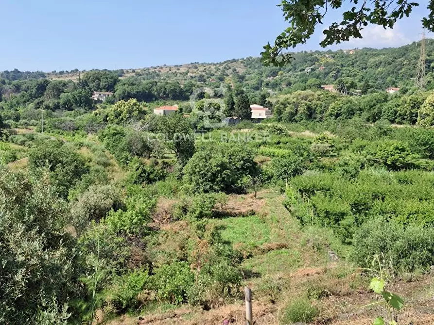 Immagine 23 di Terreno agricolo in vendita  in Via Ragonesi a Piedimonte Etneo