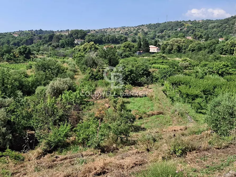 Immagine 25 di Terreno agricolo in vendita  in Via Ragonesi a Piedimonte Etneo