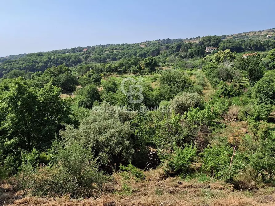 Immagine 26 di Terreno agricolo in vendita  in Via Ragonesi a Piedimonte Etneo