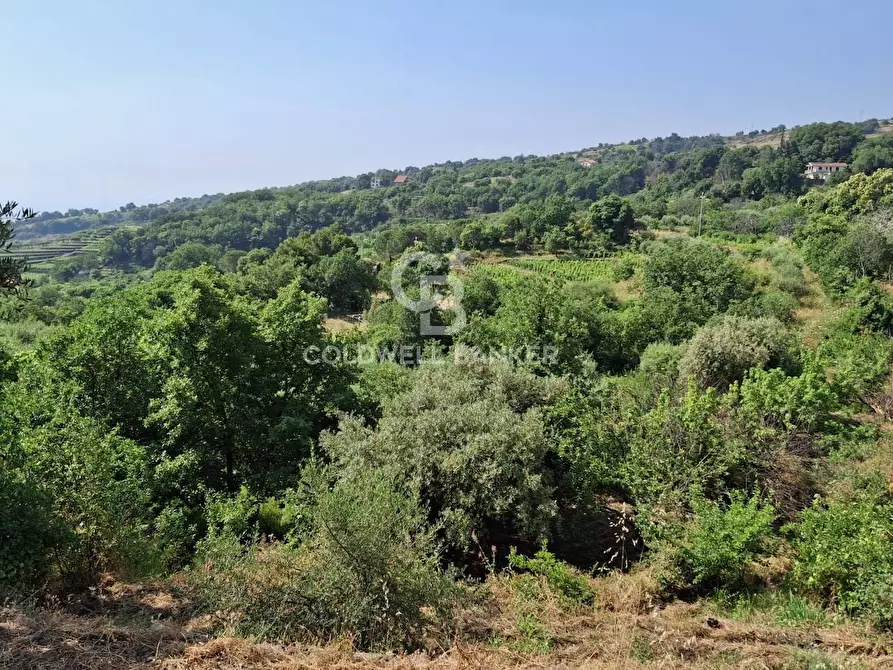 Immagine 27 di Terreno agricolo in vendita  in Via Ragonesi a Piedimonte Etneo