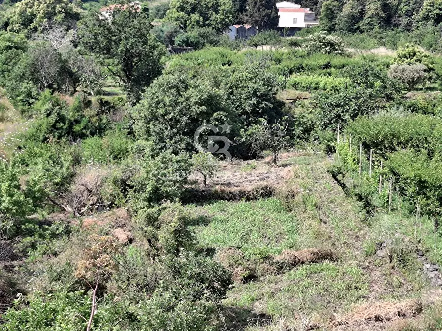 Immagine 28 di Terreno agricolo in vendita  in Via Ragonesi a Piedimonte Etneo