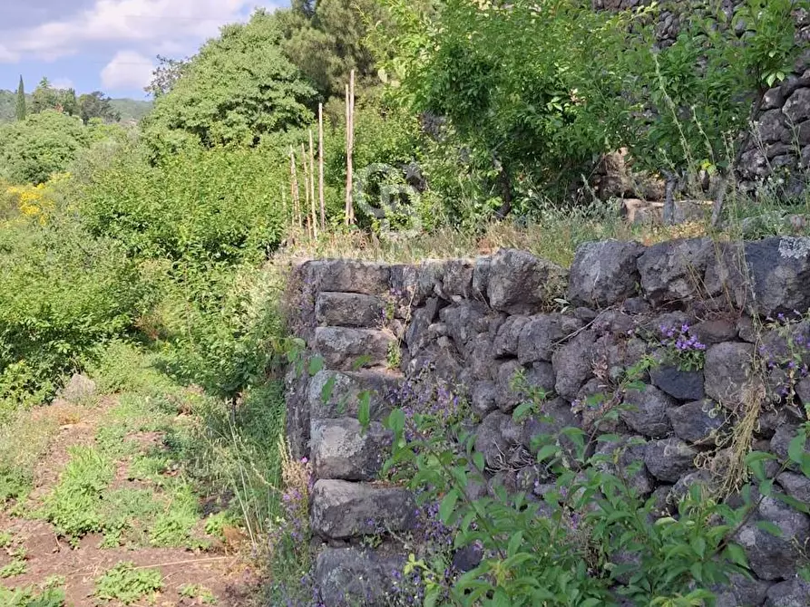 Immagine 29 di Terreno agricolo in vendita  in Via Ragonesi a Piedimonte Etneo