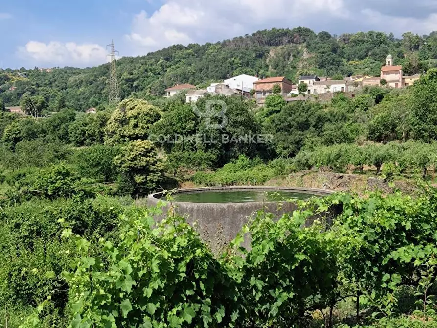 Immagine 30 di Terreno agricolo in vendita  in Via Ragonesi a Piedimonte Etneo