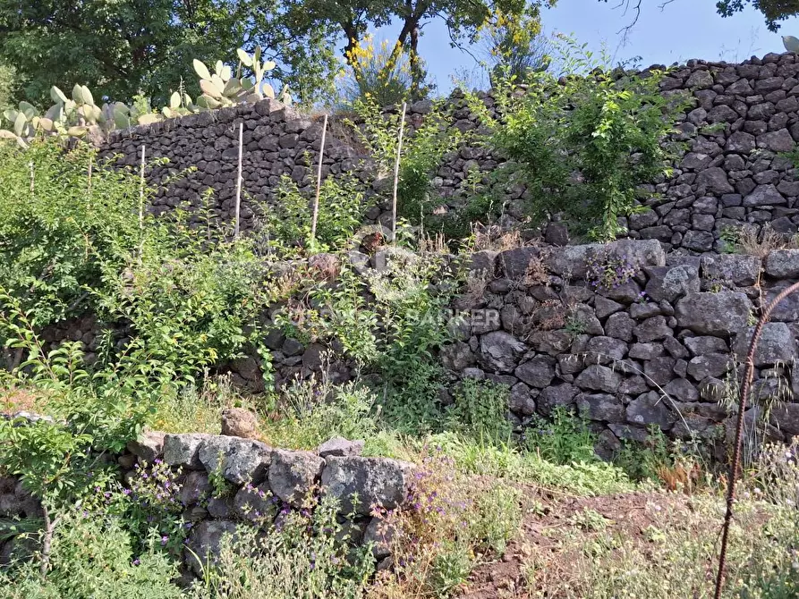 Immagine 31 di Terreno agricolo in vendita  in Via Ragonesi a Piedimonte Etneo