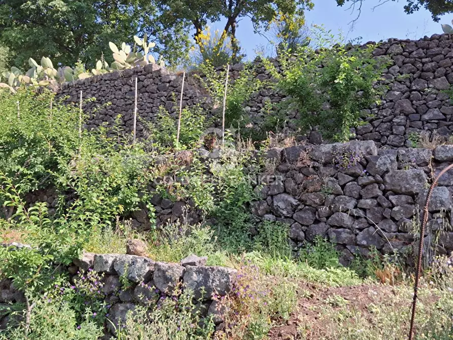 Immagine 32 di Terreno agricolo in vendita  in Via Ragonesi a Piedimonte Etneo