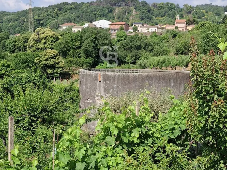 Immagine 33 di Terreno agricolo in vendita  in Via Ragonesi a Piedimonte Etneo