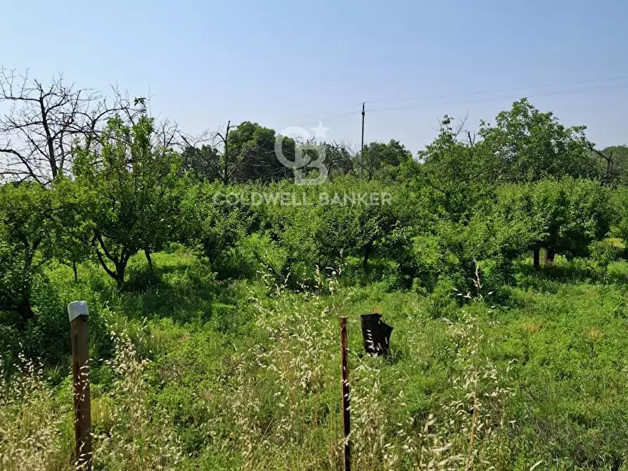 Immagine 36 di Terreno agricolo in vendita  in Via Ragonesi a Piedimonte Etneo