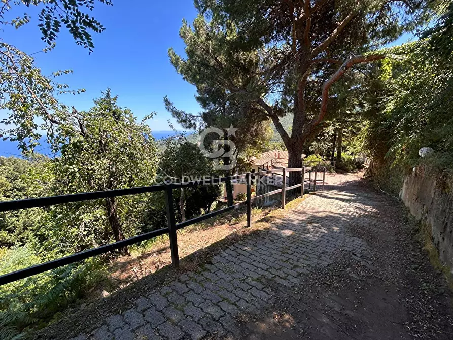 Immagine 19 di Appartamento in vendita  in Via di Rimercoio a Marciana