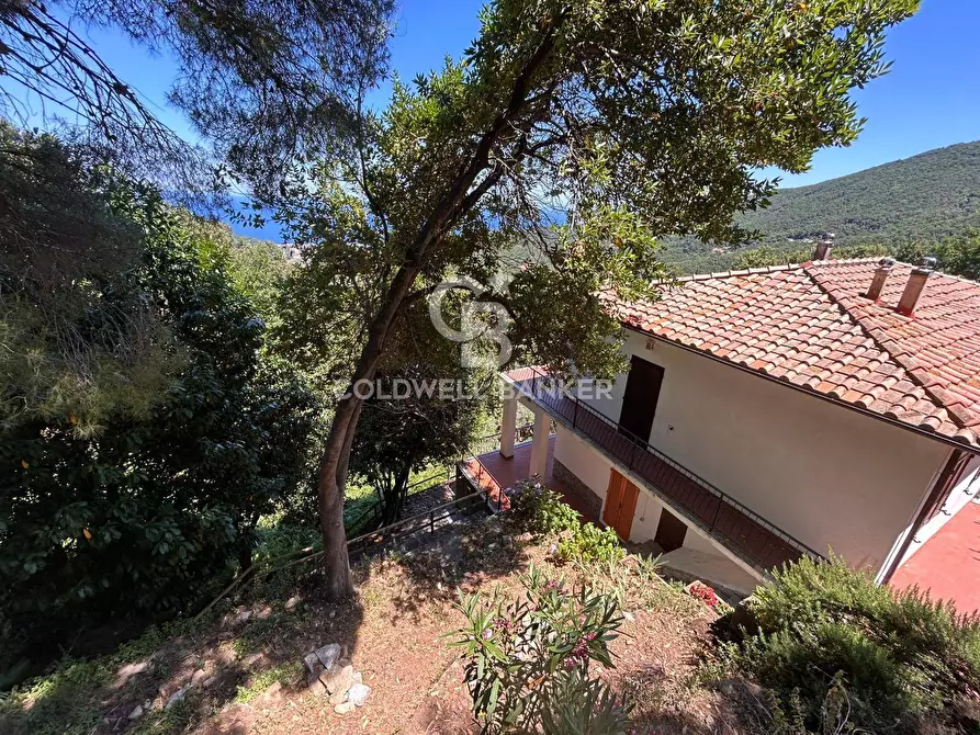 Immagine 4 di Appartamento in vendita  in Via di Rimercoio a Marciana