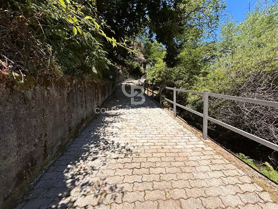 Immagine 20 di Appartamento in vendita  in Via di Rimercoio a Marciana