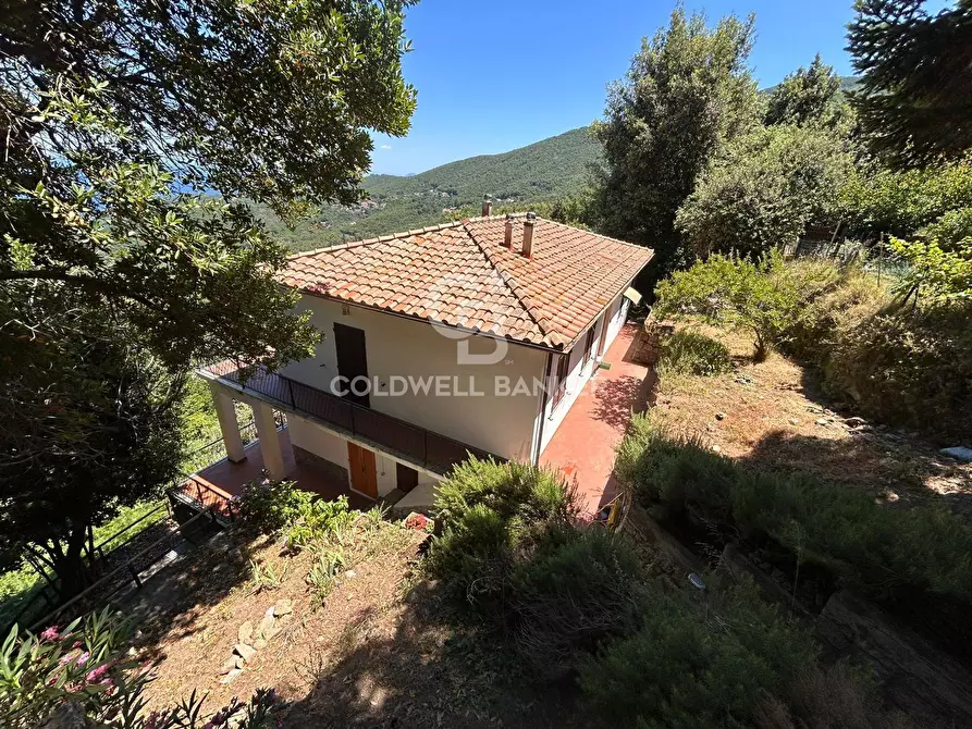 Immagine 18 di Appartamento in vendita  in Via di Rimercoio a Marciana