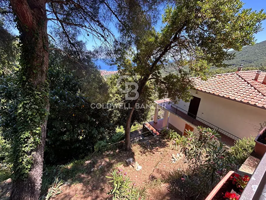 Immagine 17 di Appartamento in vendita  in Via di Rimercoio a Marciana