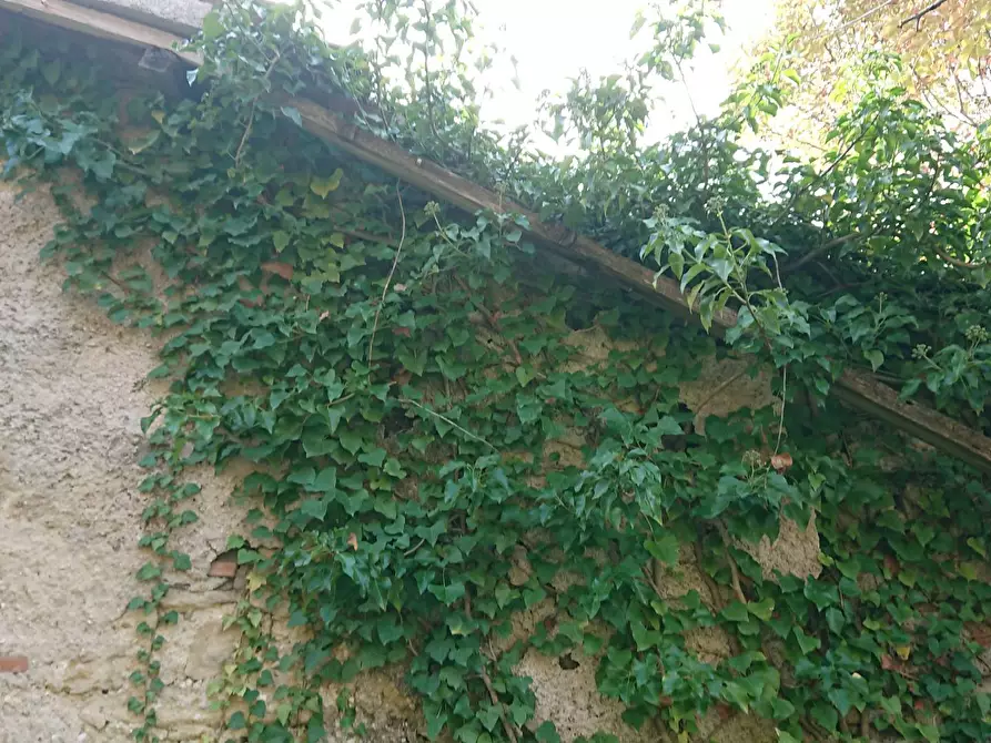 Immagine 8 di Appartamento in vendita  in Via Turanense 49 a Belmonte In Sabina