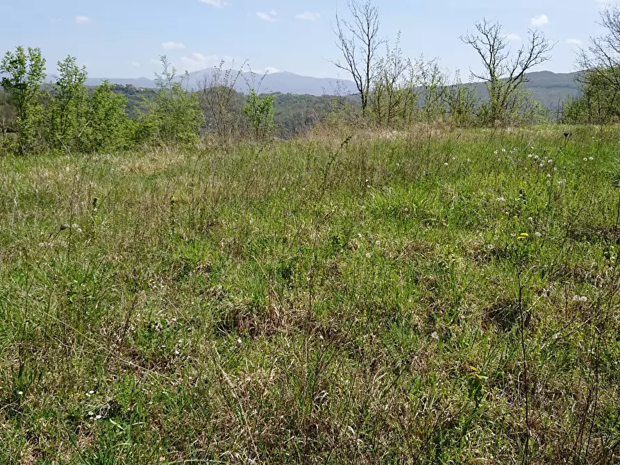 Immagine 14 di Appartamento in vendita  in Via Turanense 49 a Belmonte In Sabina