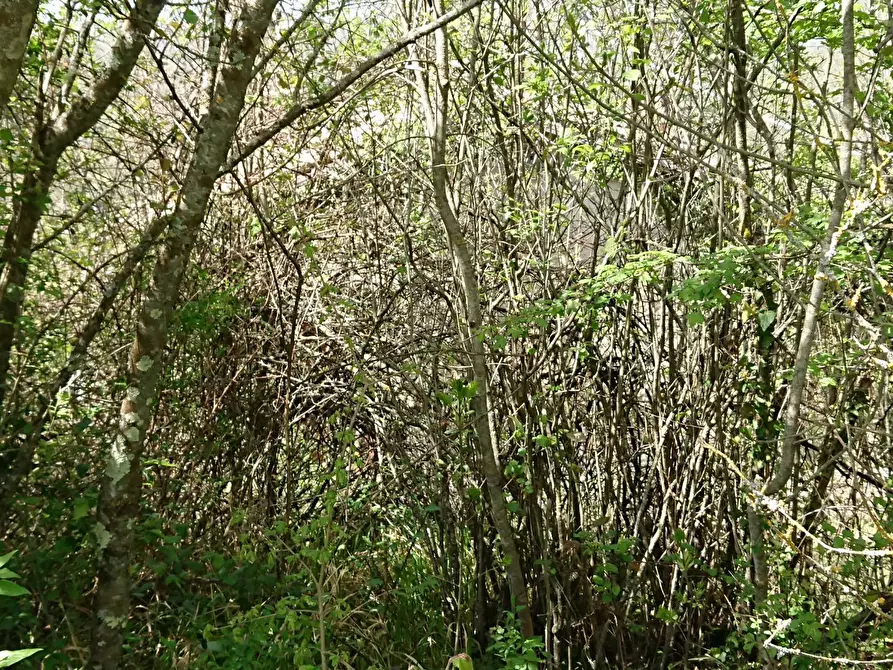 Immagine 16 di Appartamento in vendita  in Via Turanense 49 a Belmonte In Sabina