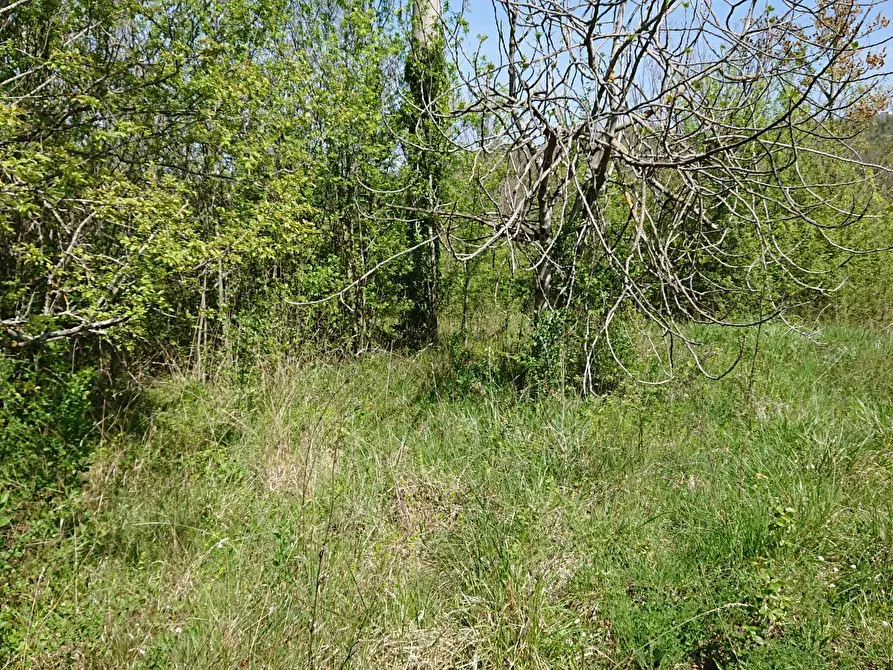 Immagine 15 di Appartamento in vendita  in Via Turanense 49 a Belmonte In Sabina