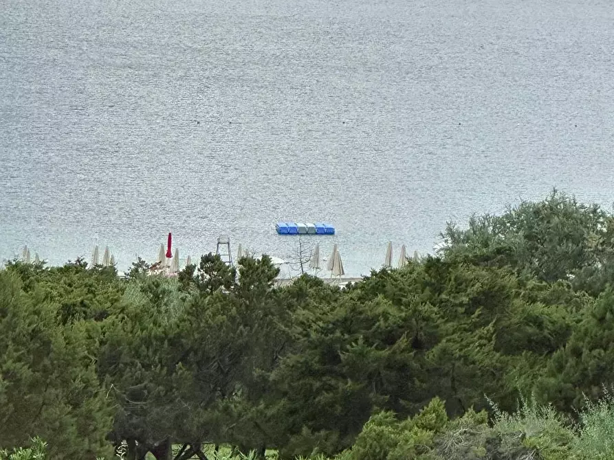 Immagine 16 di Appartamento in vendita  in cala granu a Arzachena