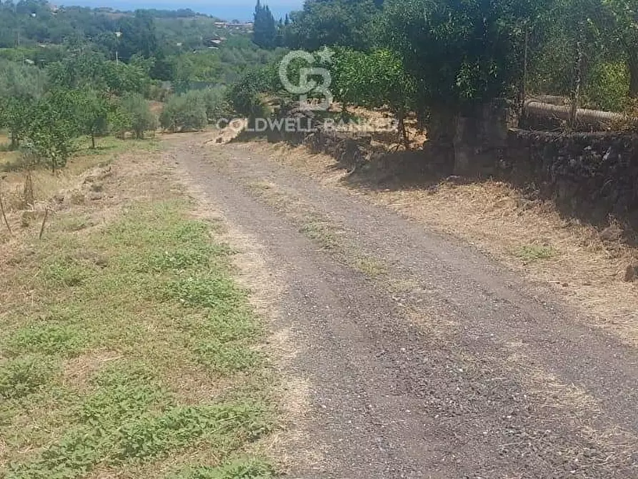 Immagine 4 di Terreno agricolo in vendita  a Santa Venerina