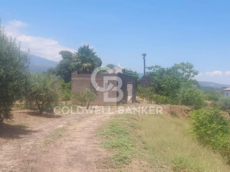 Immagine 10 di Terreno agricolo in vendita  a Santa Venerina
