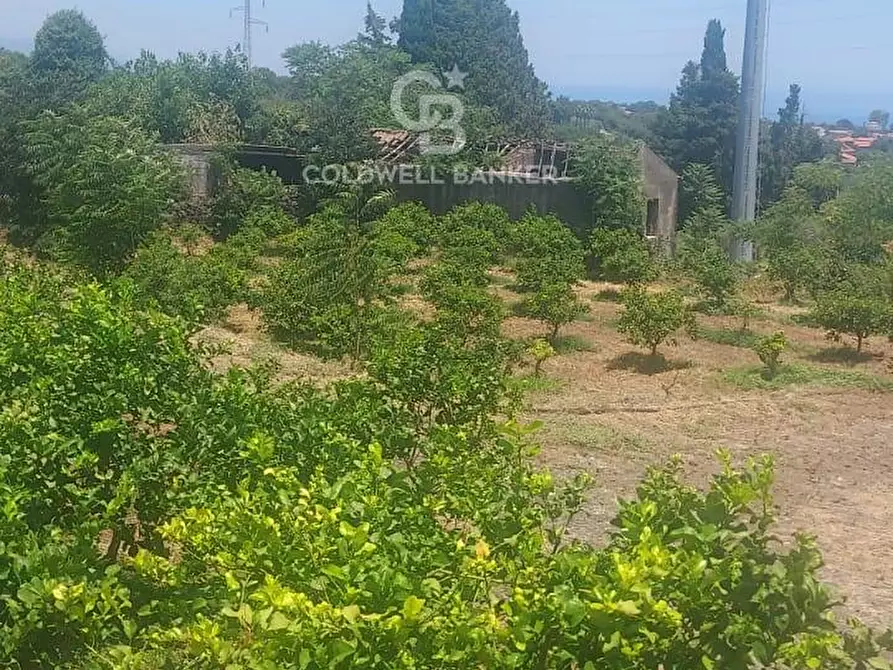 Immagine 15 di Terreno agricolo in vendita  a Santa Venerina