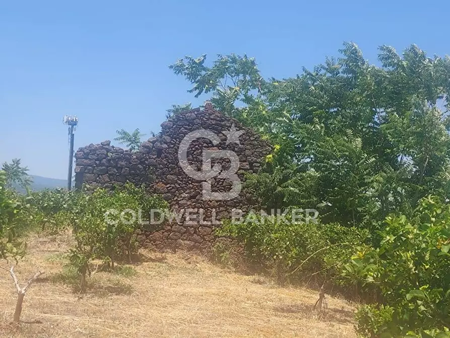 Immagine 16 di Terreno agricolo in vendita  a Santa Venerina
