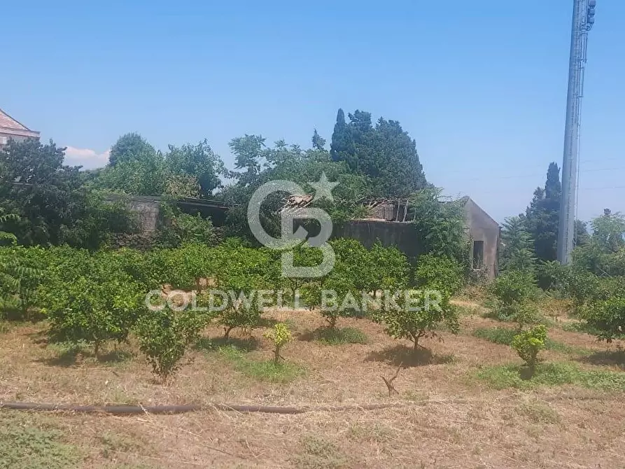 Immagine 19 di Terreno agricolo in vendita  a Santa Venerina