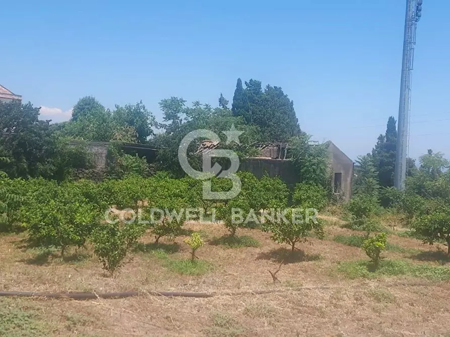 Immagine 20 di Terreno agricolo in vendita  a Santa Venerina