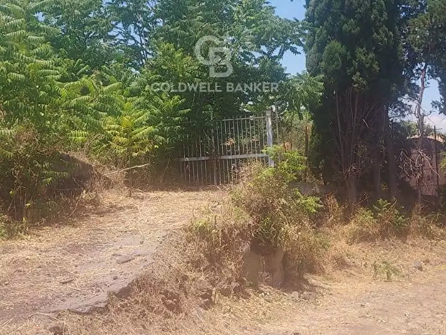 Immagine 23 di Terreno agricolo in vendita  a Santa Venerina