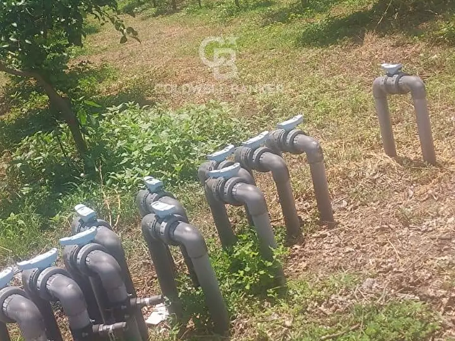 Immagine 26 di Terreno agricolo in vendita  a Santa Venerina