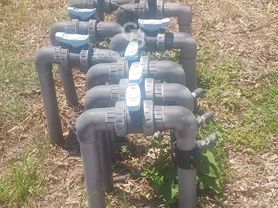 Immagine 28 di Terreno agricolo in vendita  a Santa Venerina