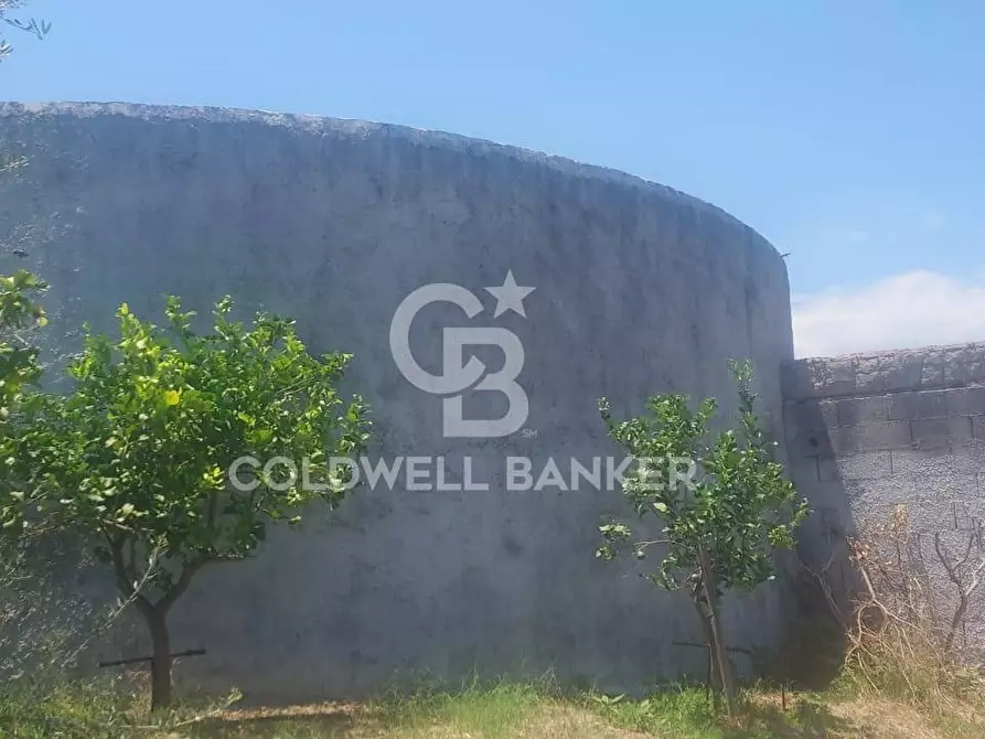 Immagine 29 di Terreno agricolo in vendita  a Santa Venerina