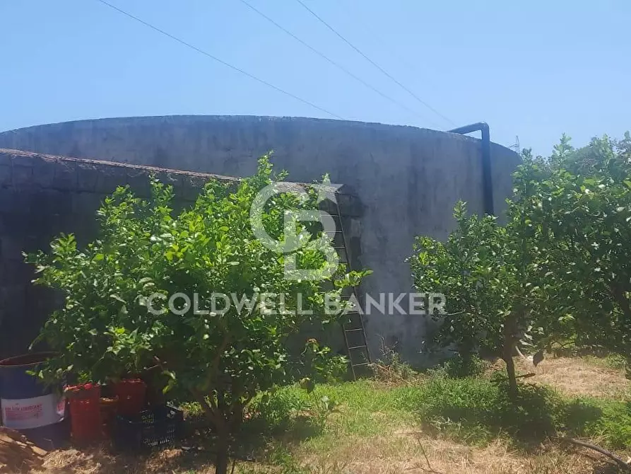 Immagine 32 di Terreno agricolo in vendita  a Santa Venerina