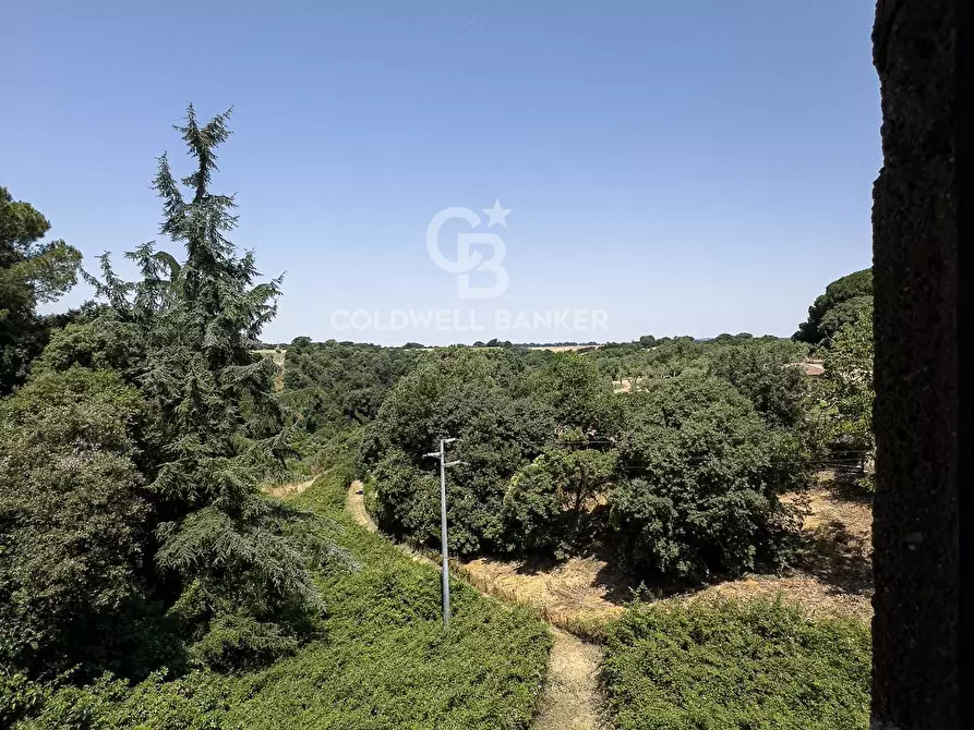 Immagine 41 di Appartamento in vendita  in Via San Filippo Neri 10 a Bracciano