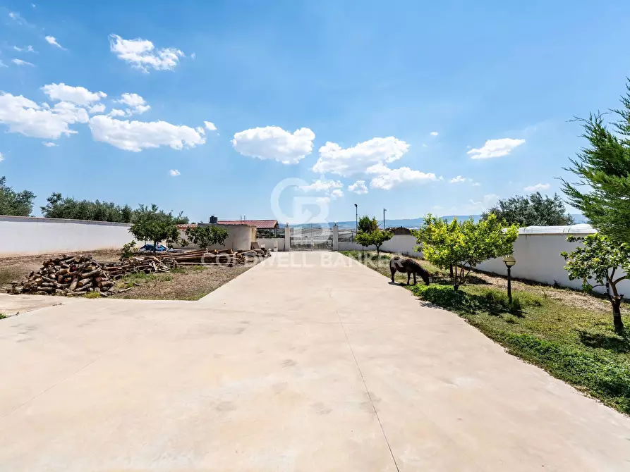 Immagine 9 di Villa in vendita  in Via Lancia 107 a Mazzarrone