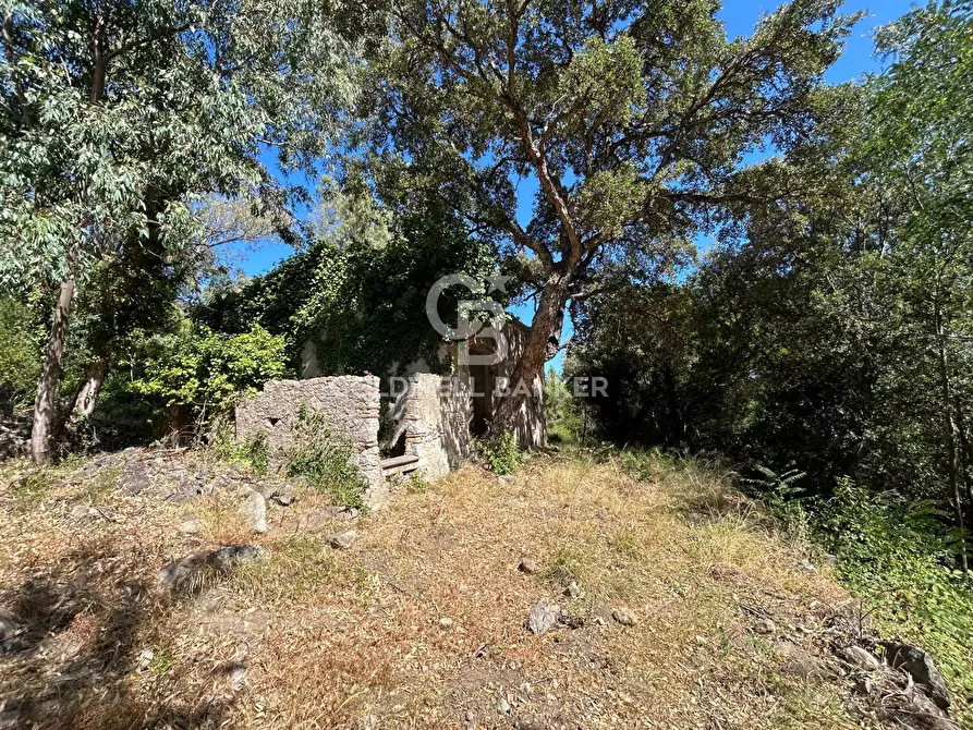 Immagine 4 di Rustico / casale in vendita  in Via Pian di Mezzo a Campo Nell'elba