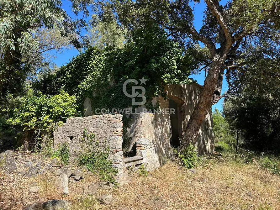 Immagine 5 di Rustico / casale in vendita  in Via Pian di Mezzo a Campo Nell'elba