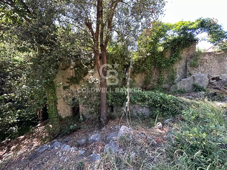 Immagine 6 di Rustico / casale in vendita  in Via Pian di Mezzo a Campo Nell'elba
